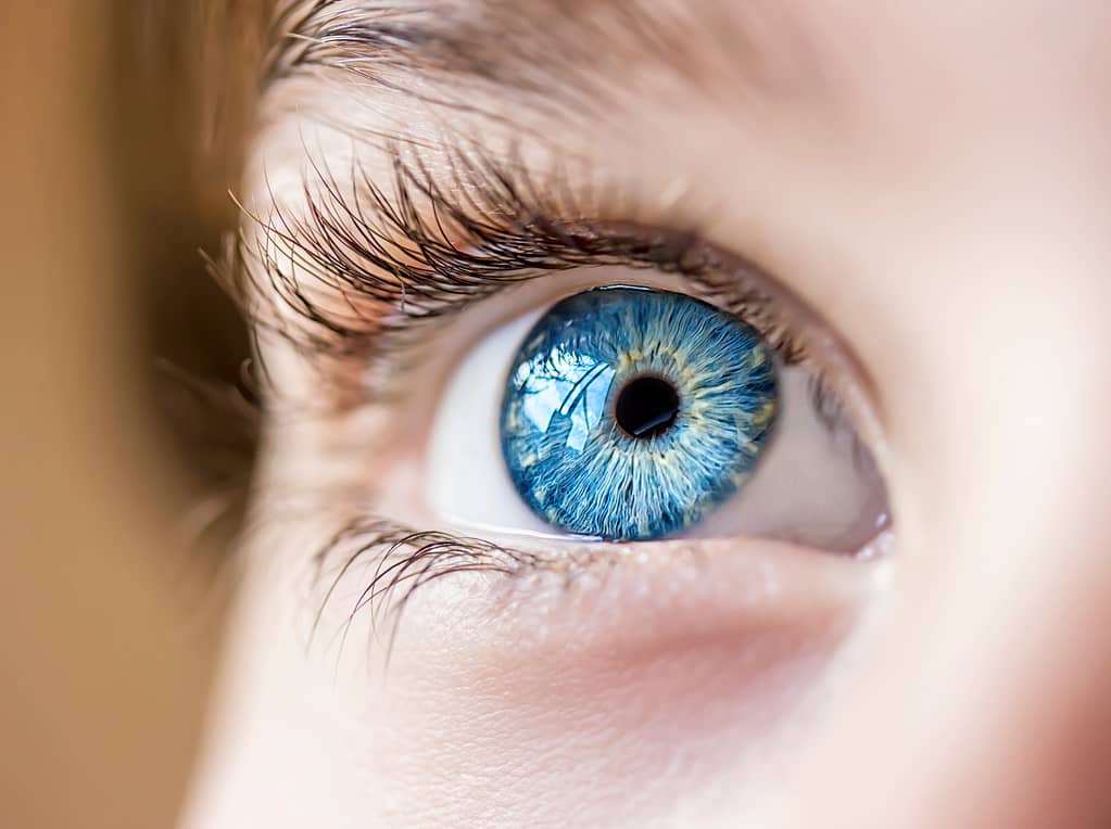 blue eye